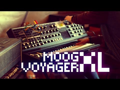 Moog Voyager XL: Sounds from Scratch (No Talking)