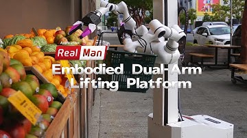 Meet the future of home automation with our Embodied Dual-Arm Lifting Platform.
