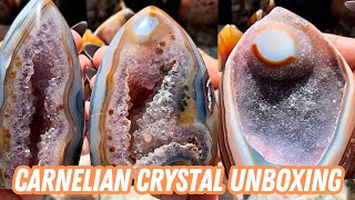 Insane Carnelian Crystal Unboxing from Brazil! Green Flower Agate and so much more!