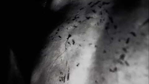 INTEGRITY - "7 Reece Mews" (Video Teaser)