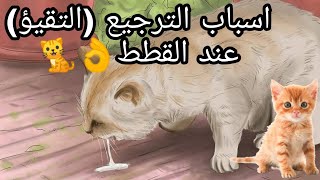 الترجيع (التقيؤ) عند القطط اسبابه وعلاجه والاسعافات الاوليه التي يجب فعلها👌🐈