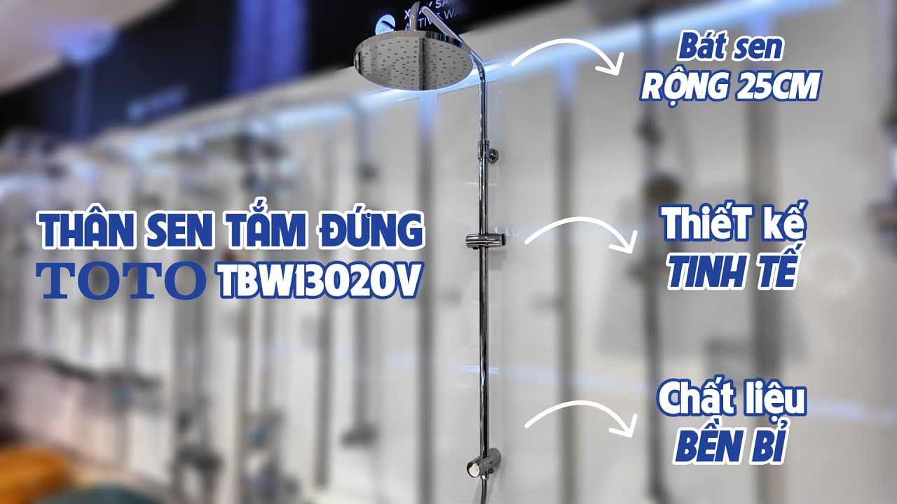Thân sen cây TOTO TBW13020V