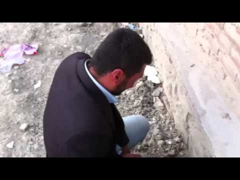 شاشيدن رضا مايكل در روز عيد نورور