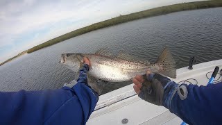 This Bayou Was Absolutely Stacked With Speckled Trout (Caught Well Over A Legal Limit)