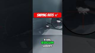Would you go into this rat infested warehouse?