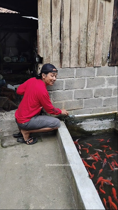 Because I forgot to turn on the tap in the fish pond. #fishpond #comedy