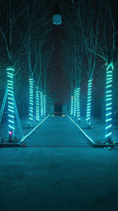 🌳✨ Wrap Your Trees in Living Light - superlightingled