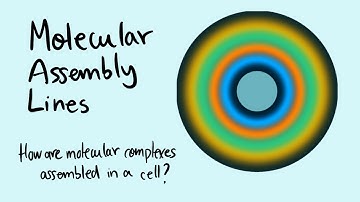 Molecular Assembly Lines in Active Droplets