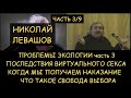 Н.Левашов: Проблемы экологии 3. Последствия виртуального секса. Момент получения наказания. Выбор