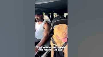 Thumbnail of Dog Loves 50 Cent's In Da Club Song 😆 #shorts