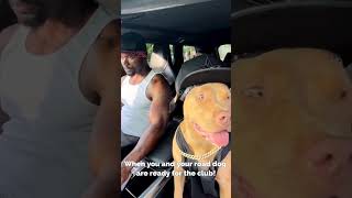 Dog Loves 50 Cent's In Da Club Song 😆 #shorts