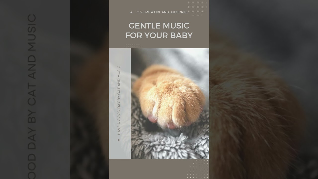 Gentle Music for Pets😸🐶🐰