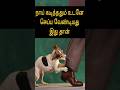 நாய் கடித்ததும் உடனே செய்ய வேண்டிய 5 விஷயங்கள் | 5 Things to after dog bite #sansanimalwelfaretrust