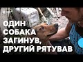 Собака рятував. У Слов'янську родина вижила під час двох ударів БпЛА: втратили дім і одного собаку