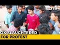 After ox slaughter case against kerala youth congress workers