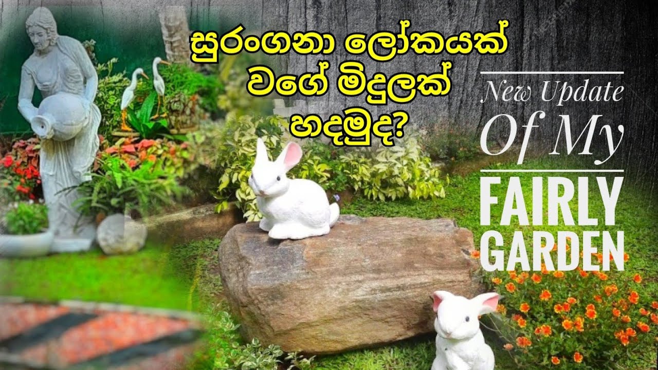 සුරංගනා ලෝකයක් වගේ මිදුලක් හදන්නෙ මෙහෙමයි || New Garden updates|| Beautiful Gardens 2021