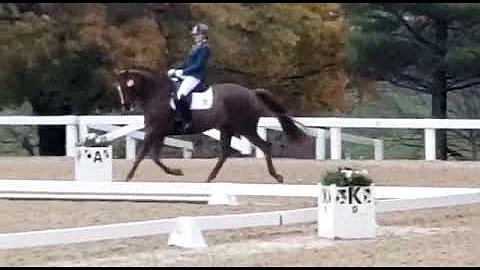 3rd level freestyle at US Dressage Finals