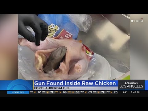 TSA agents find gun inside raw chicken at airport in Florida