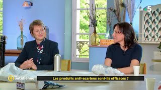 Les produits anti acariens sont ils efficaces ?  La Quotidienne