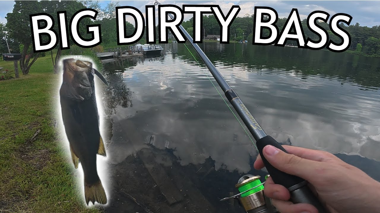 Shore Fishing For BIG DIRTY BASS!