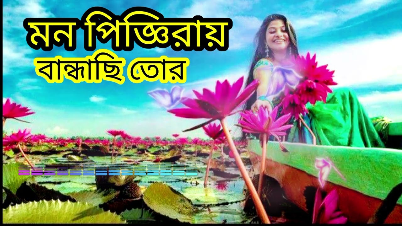 মন পিজ্ঞিরায় বান্ধাছি তোর মন |২০২৬ ভাইরাল গান | Viral song 2026