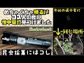 めちゃくちゃ明るいコスパ最高のLED懐中電灯見つけました。【昆虫採集】