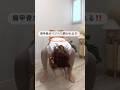 肩甲骨がベリベリ剥がれる #肩甲骨はがし #巻き肩改善