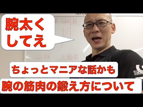 ちよっとマニアな話かも　上腕二頭筋と上腕三頭筋の鍛え方の違いについて!!