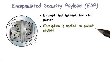 Encapsulated Security Payload (ESP)