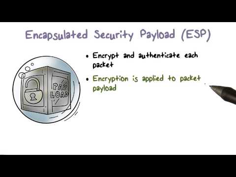 Encapsulated Security Payload (ESP)