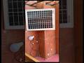 Off-Grid 12v Solar Light using a 12v solar panel with LM2596 buck converter #offgrid  #solar