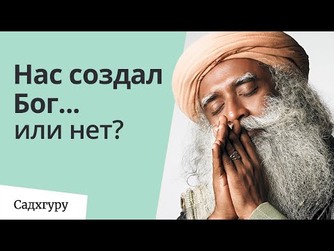 Нас создал Бог… или нет?