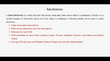 Data Dictionary - Part 1.avi