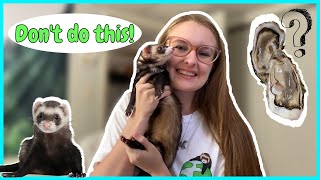 15 Foods to NEVER FEED FERRETS!! *shocking*
