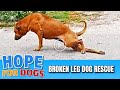 Hope Rescues Dog With Broken Leg