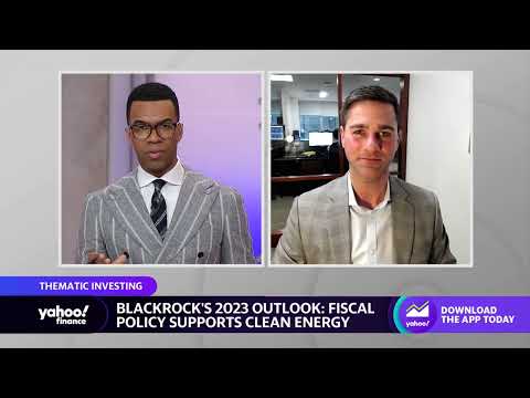 BlackRock strategist explains