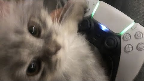 Did I stutter? (Slowed) - Beamglow