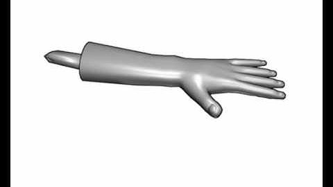 Blender Handrig Test