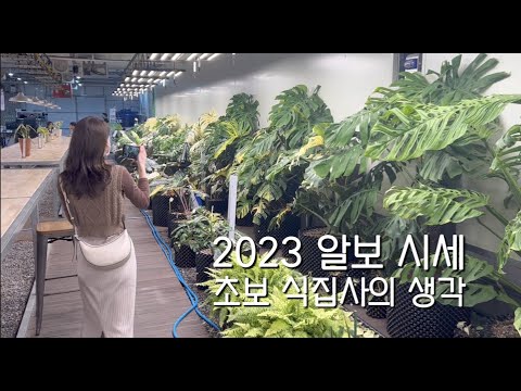   2023 알보 시세에 대한 식집사의 생각ㅣ알보 몬스테라 구경ㅣ식물마켓ㅣ몬마켓