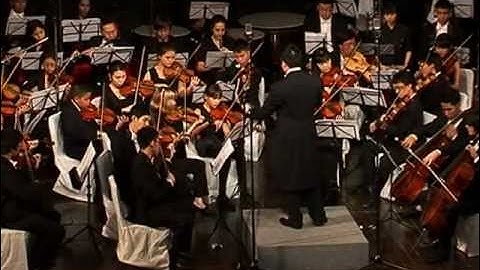 Tchaikovsky: Symphony No. 5 in E minor - 1st Movement