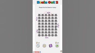 Brain Out 2 Level 204