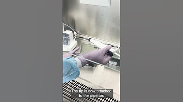 How to use the Invitrogen Neon NxT Electroporation System Pipette