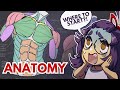 How to actually learn anatomy
