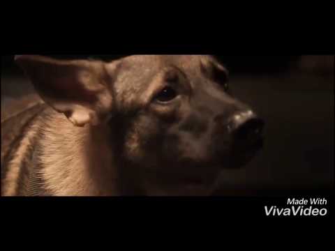Kathakali whistle + Theemai tan vellummashup