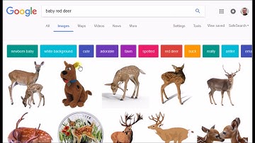 How to use Google Image Search