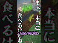 【ゆっくり実況】その後彼女を見たというものは…【縦横比逆転10秒スカイブロック#22】 #ゆっくりショート #マインクラフト #10秒実況
