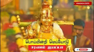 POI INDRI MEIYODU NEIKONDU | SABARIMALA YATRA | AYYAPPAN TAMIL SONG