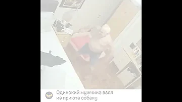 Одинокий мужчина взял из приюта собаку и теперь счастлив