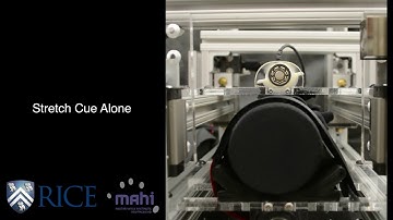 Effect of Interference on Haptic Perception of Stretch and Squeeze