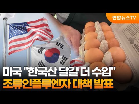 미국 &amp;quot;<strong>한국산</strong> 달걀 더 수입&amp;quot;…조류인플루엔자 대책 발표 / 연합뉴스TV (YonhapnewsTV)